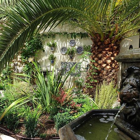 친촌 Casa San Roque B&B 외부 사진