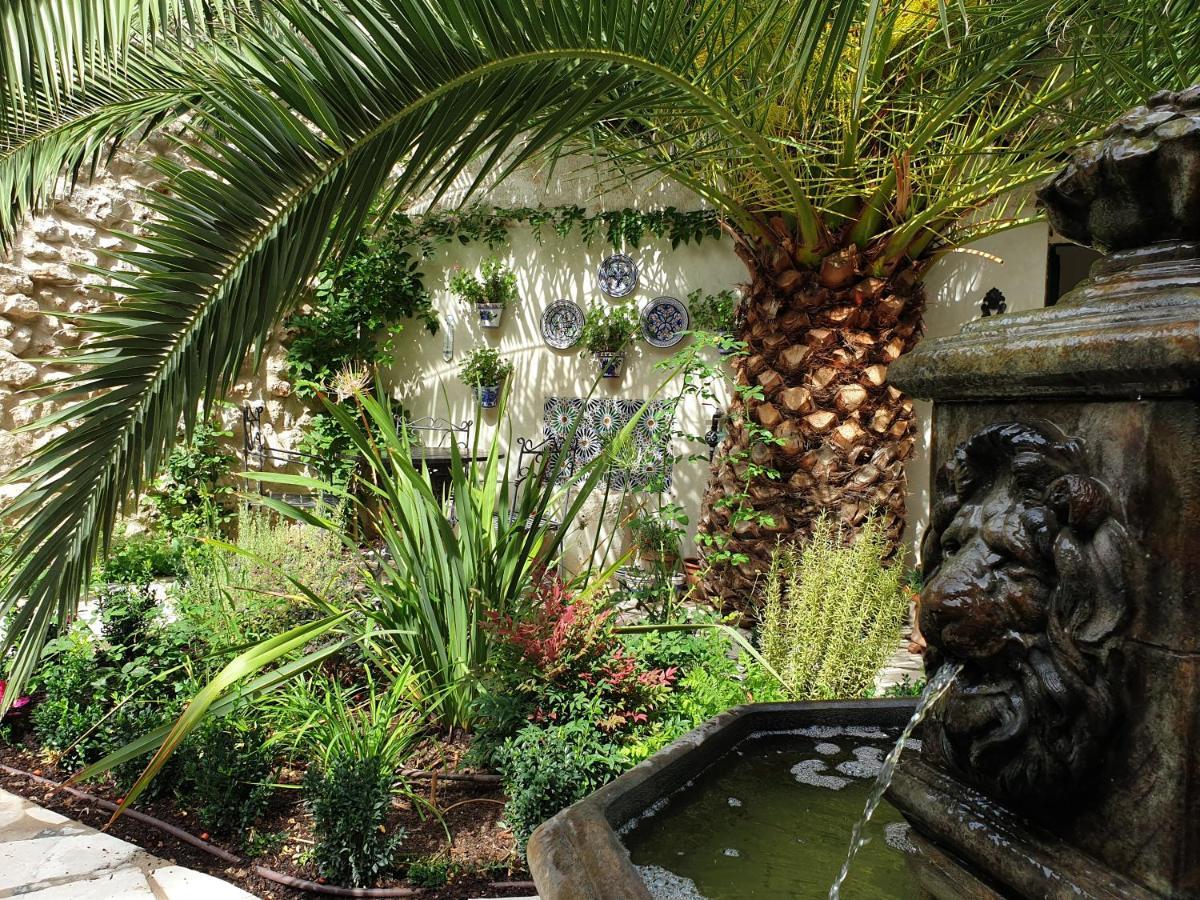 친촌 Casa San Roque B&B 외부 사진