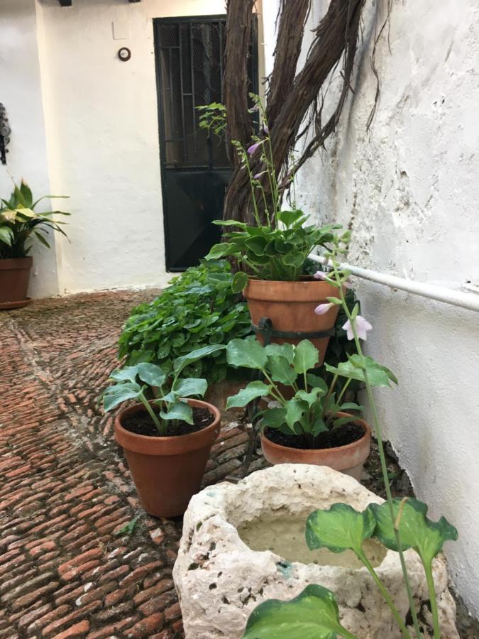 친촌 Casa San Roque B&B 외부 사진